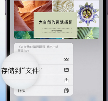 墨江apple维修中心分享iPhone文件应用中存储和找到下载文件