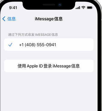 墨江apple维修iPhone上无法正常发送iMessage信息 