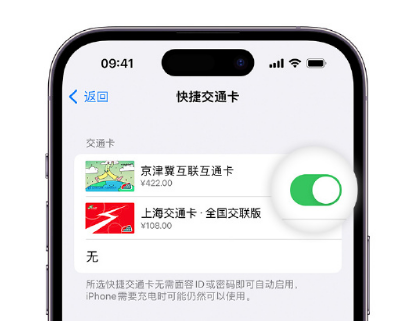 墨江apple维修点分享iPhone上更换Apple Pay快捷交通卡手绘卡面 