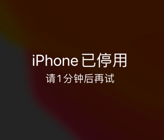 墨江苹果手机维修分享:iPhone 显示“不可用”或“已停用”怎么办？还能保留数据吗？ 