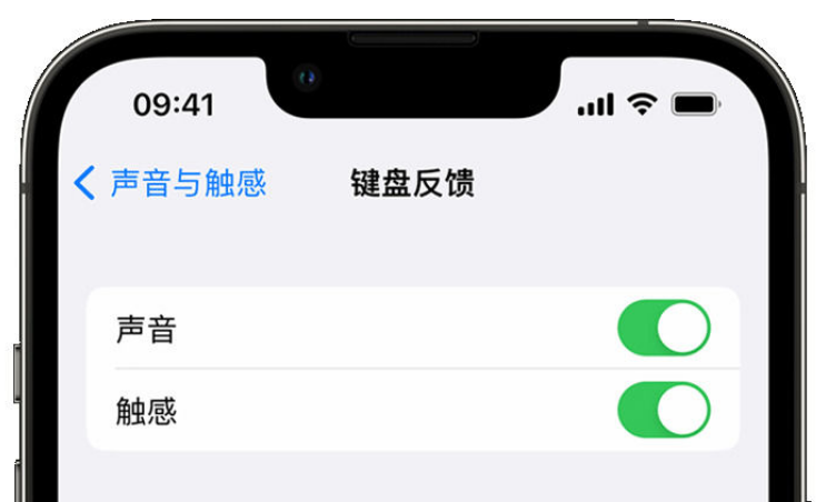 墨江苹果手机维修分享iPhone 14触感键盘使用方法 