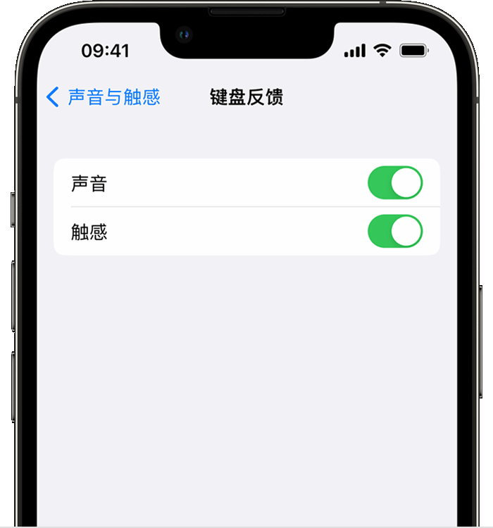 墨江苹果14维修店分享如何在 iPhone 14 机型中使用触感键盘 