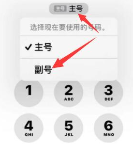 墨江苹果14维修店分享iPhone 14 Pro Max使用副卡打电话的方法 