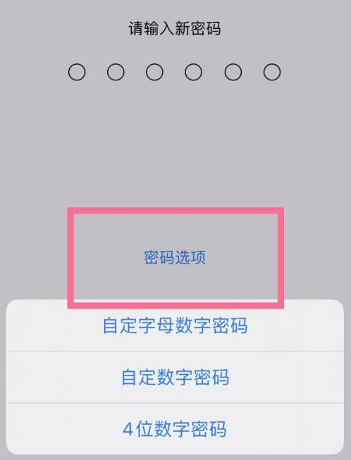 墨江苹果14维修分享iPhone 14plus设置密码的方法 