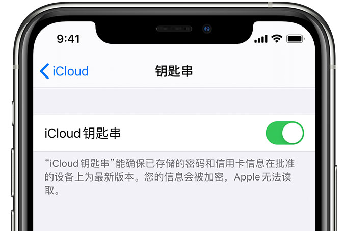 墨江苹果手机维修分享在 iPhone 上开启 iCloud 钥匙串之后会储存哪些信息 