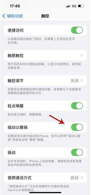 墨江苹果手机维修分享iPhone手机如何设置摇一摇删除文字 