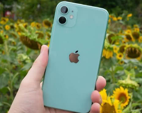 墨江苹果维修点分享iPhone 11锁屏密码认知与使用科普 